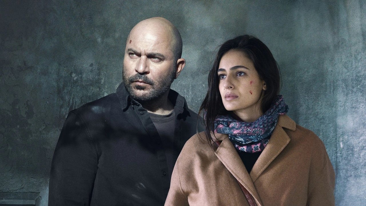 Fauda İzle